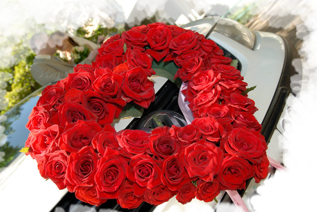 http://club443.ru/arc/uploads/83/post-1241347611.jpg