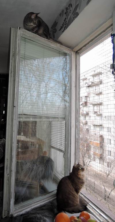 user posted image