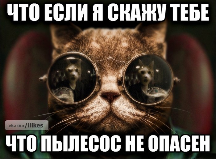post-1359410533.jpg