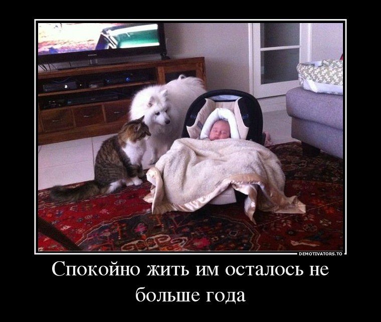 Присоединённое изображение