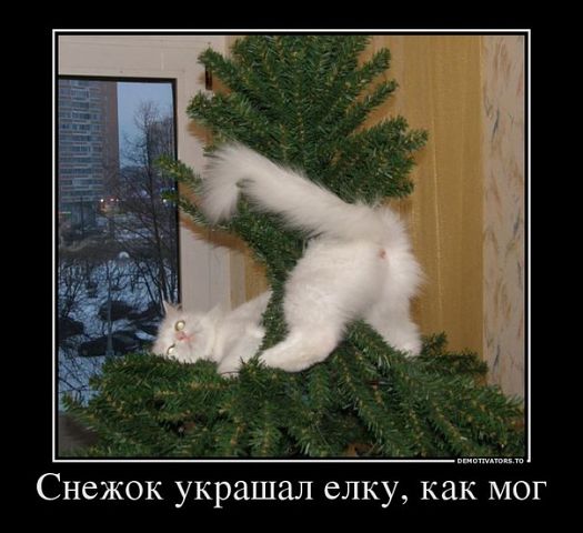 Присоединённое изображение