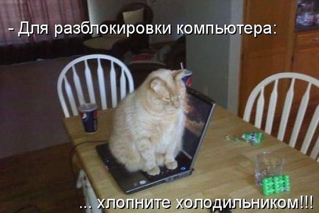 post-1402570787.jpg