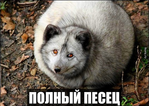 post-1412949478.jpg