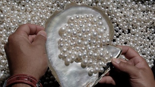 Там, где сияет Южный Крест: круиз Rhapsody of the Seas из Сиднея в Сингапур, апрель 2015