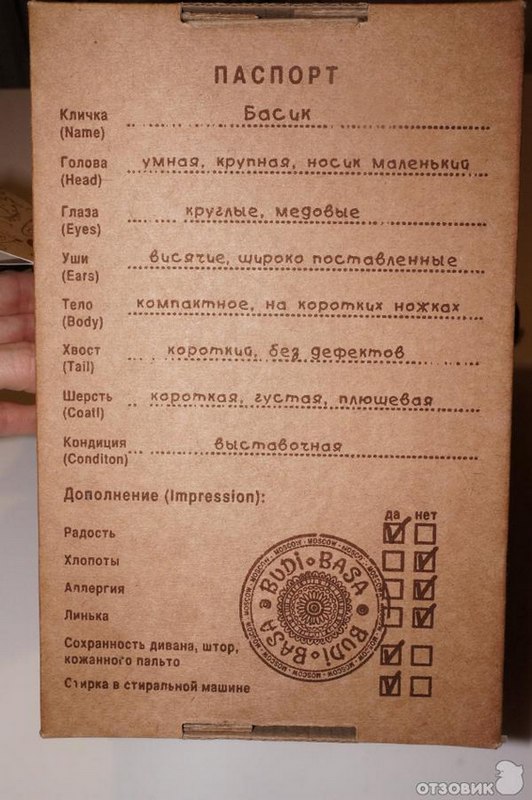 Можно ли стирать кота басика в стиральной машине. Смотреть фото Можно ли стирать кота басика в стиральной машине. Смотреть картинку Можно ли стирать кота басика в стиральной машине. Картинка про Можно ли стирать кота басика в стиральной машине. Фото Можно ли стирать кота басика в стиральной машине