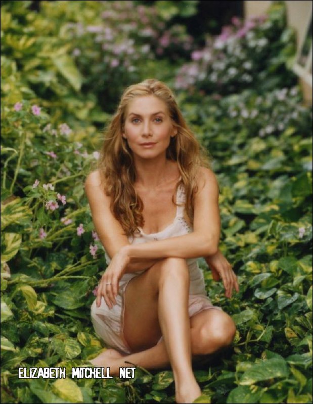 Elizabeth Mitchell Fakes