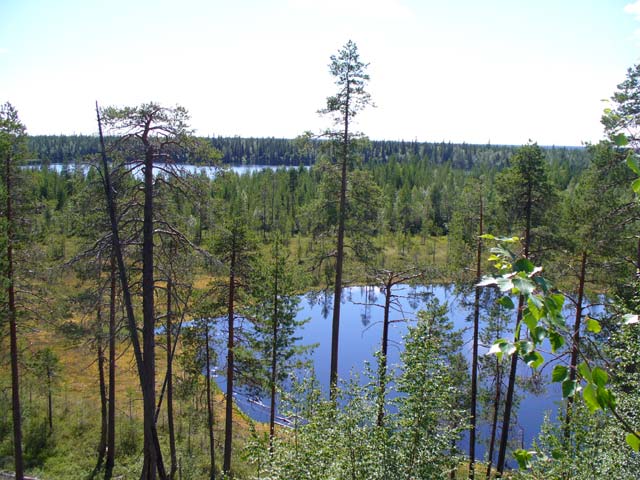 Ламбушки карелии фото