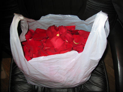 Заказать Лепестки Роз Спб Дешево Проспект Просвещения