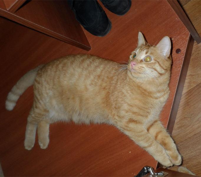 user posted image
