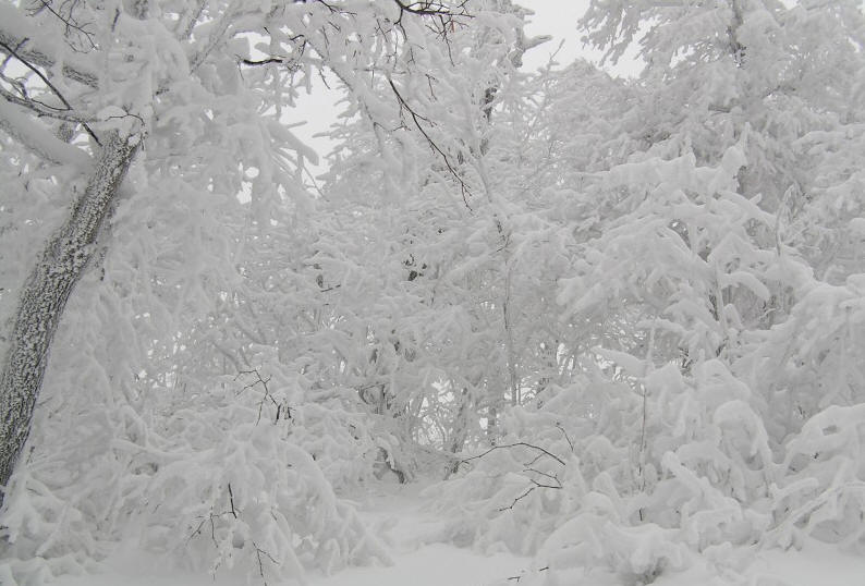 Снежки белые пушистые. Пушистый снег. Снег блестит. Снежные хлопья. Глубокие пушистые снега.