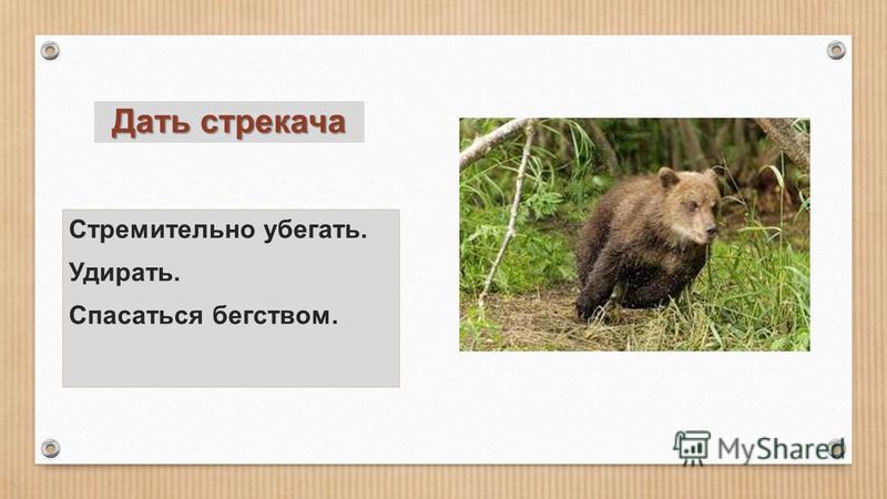 Храбрый заяц диафильм. Стрекача значение слова. Тараканьих усов испугались. Дать стрекача фразеологизм. Чуковский тараканище презентация.