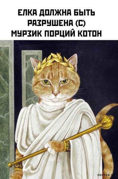 post-1671975862.jpg