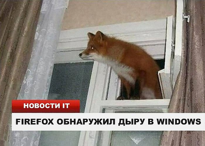 post-1698958839.jpg