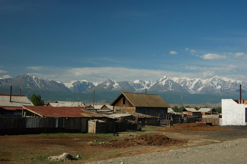 Село курай фото